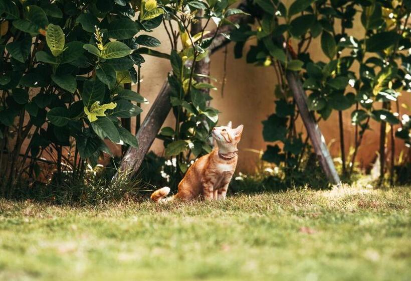 1 Bedroom Villa Garden View, Bali Mynah Villas Resort