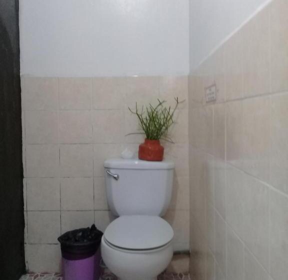 استودیو خانوادگی, Isla Bonita Beach Resort