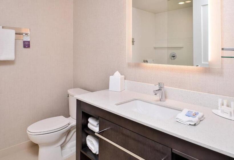 استودیو استاندارد با تخت کینگ, Residence Inn By Marriott Charlotte Northlake