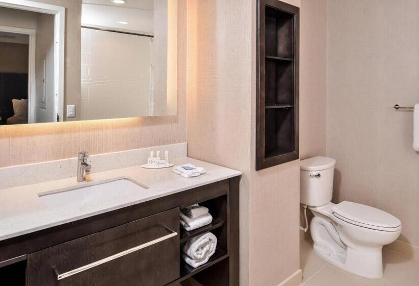 سوئیت با تخت بزرگ, Residence Inn By Marriott Charlotte Northlake