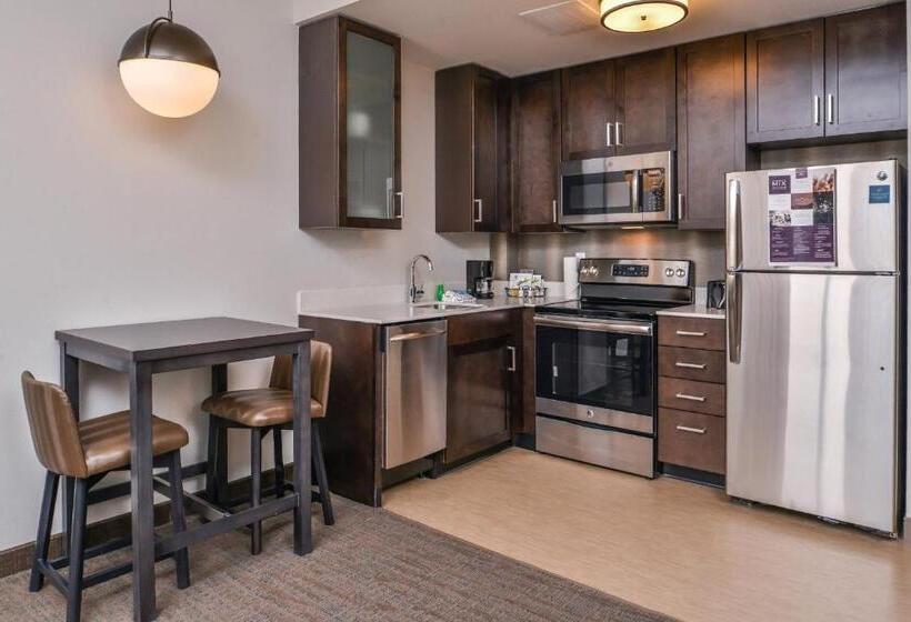 سوئیت با تخت بزرگ, Residence Inn By Marriott Charlotte Northlake