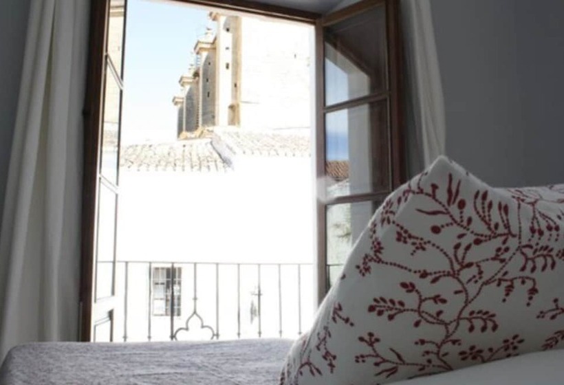 标准间带游泳池, La Ciudad