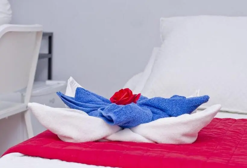 اتاق استاندارد یک نفره, Barcelona City Rooms