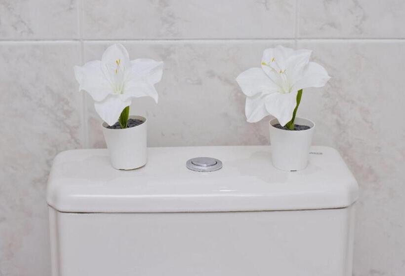 Номер Superior, Barcelona City Rooms