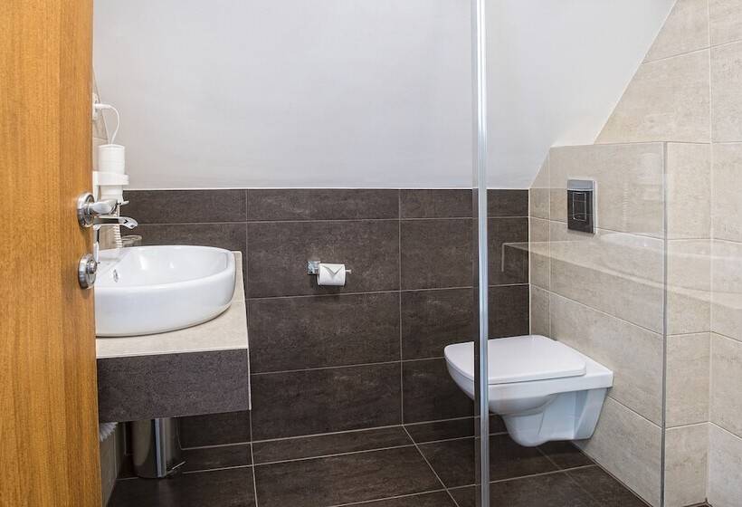 غرفة كلاسيكية ثلاثية, Penzión Darinka