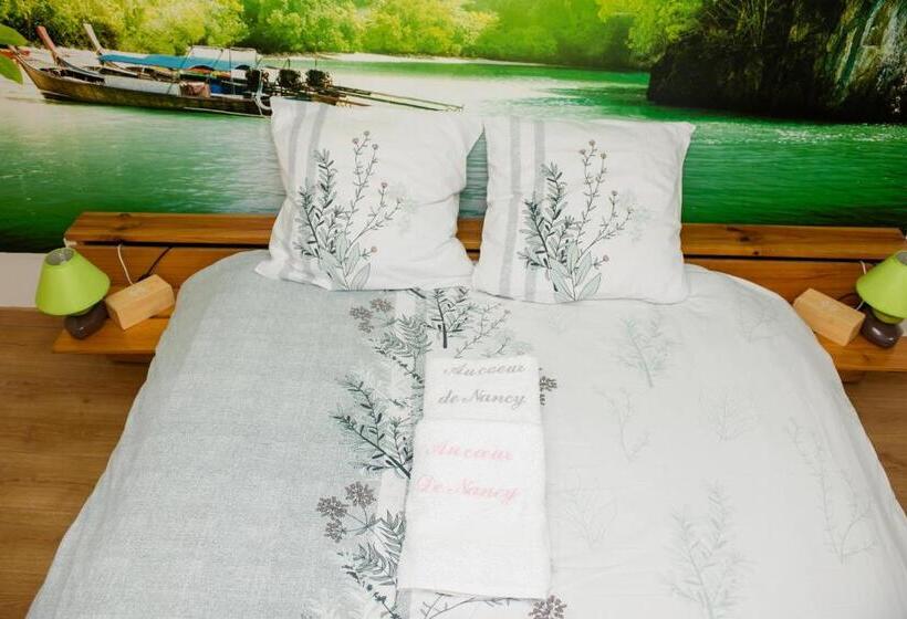 Номер Стандарт, Chambre D Hôtes Au Coeur De Nancyb&b