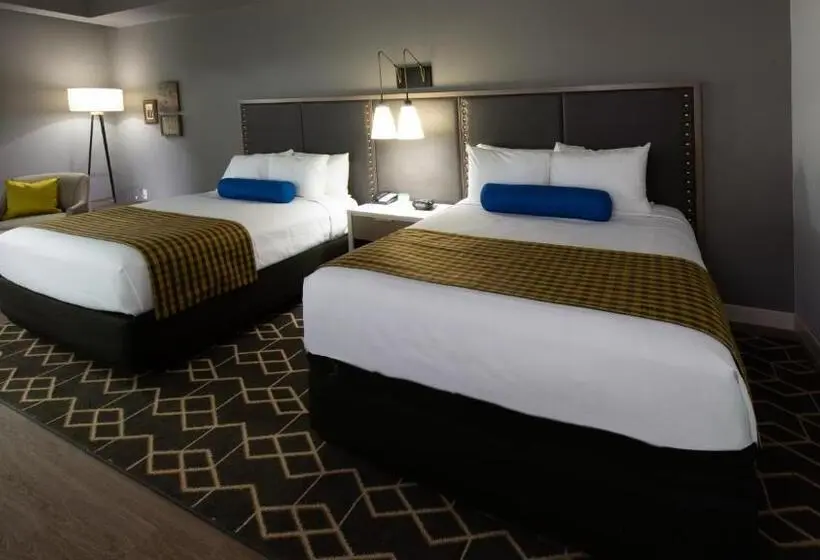 スタンダードルーム, Indigo Hattiesburg, An Ihg