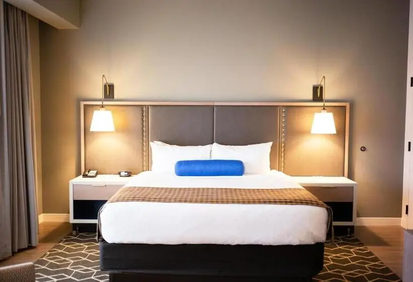キングサイズベッドのスイートルーム, Indigo Hattiesburg, An Ihg