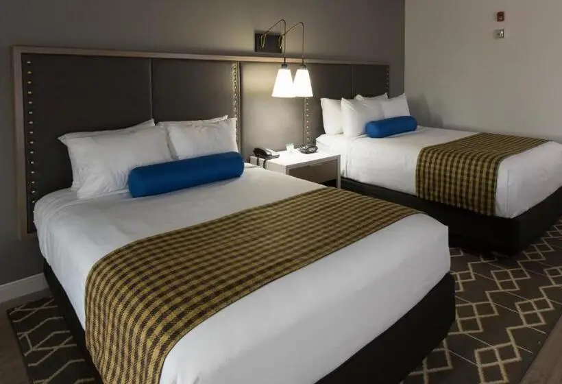 身障者適用スタンダードルーム, Indigo Hattiesburg, An Ihg
