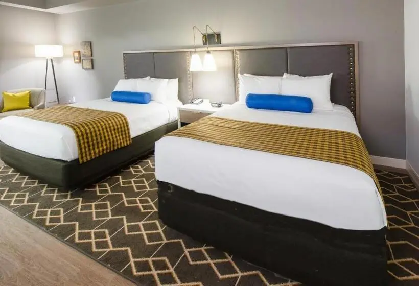身障者適用スタンダードルーム, Indigo Hattiesburg, An Ihg