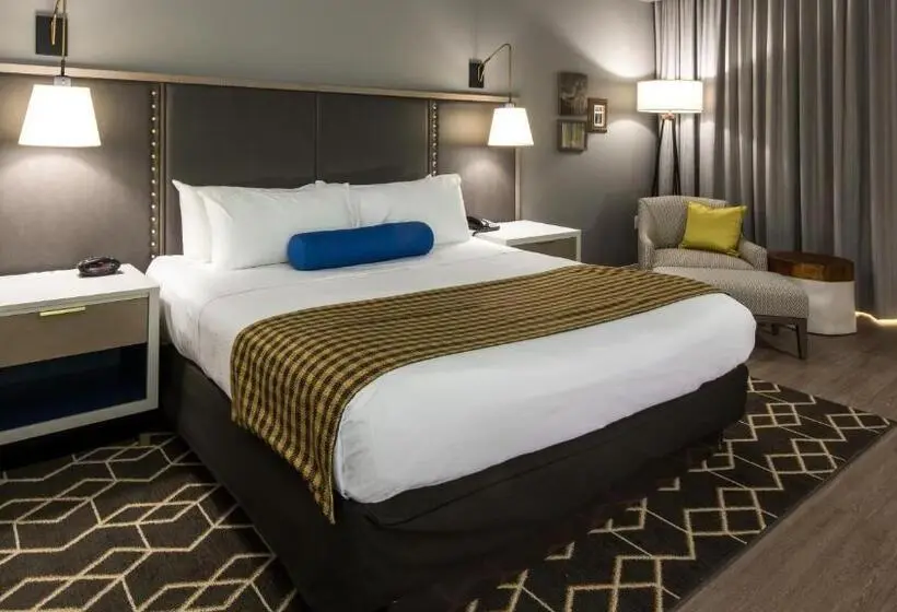 身障者適用スイートルーム, Indigo Hattiesburg, An Ihg