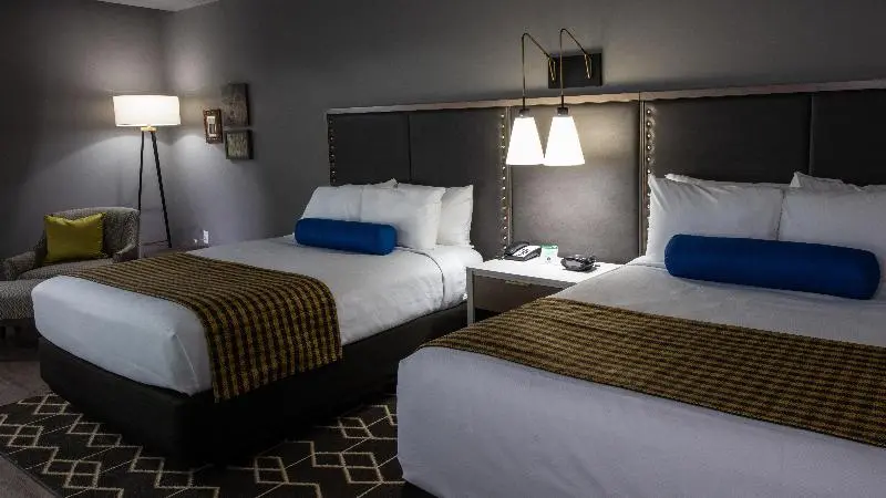 身障者適用スタンダードルーム, Indigo Hattiesburg, An Ihg