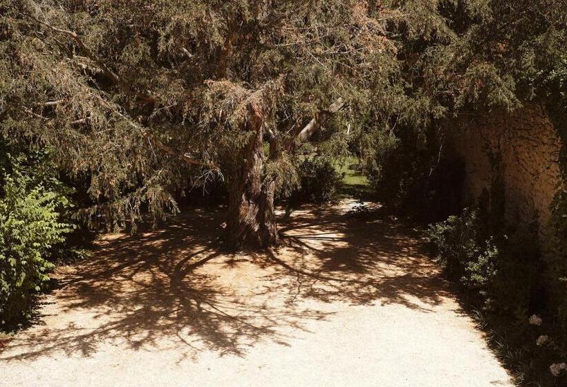 Классический Номер, Le Galinier, Lourmarin, An Authentic Beaumier Guesthouse