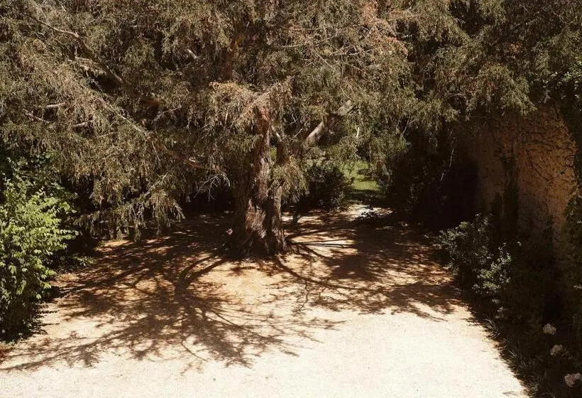 クラシックルーム, Le Galinier, Lourmarin, An Authentic Beaumier Guesthouse