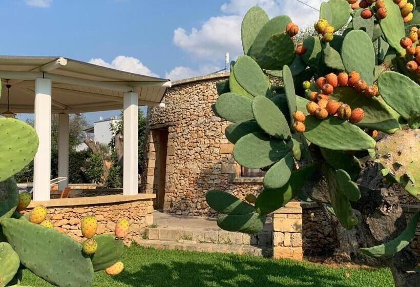 غرفة قياسية, Borgo Rosso Terra