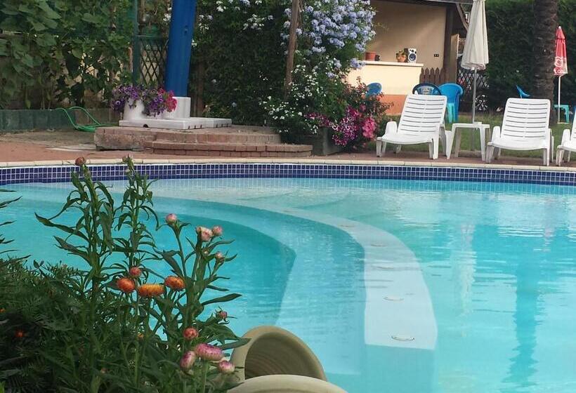 جناح ديلوكس, Thairè Resort