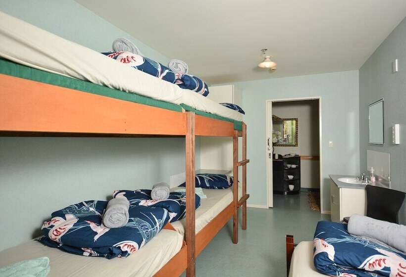 تختخواب در اتاق مشترک, Piwaka Lodge And Backpackers