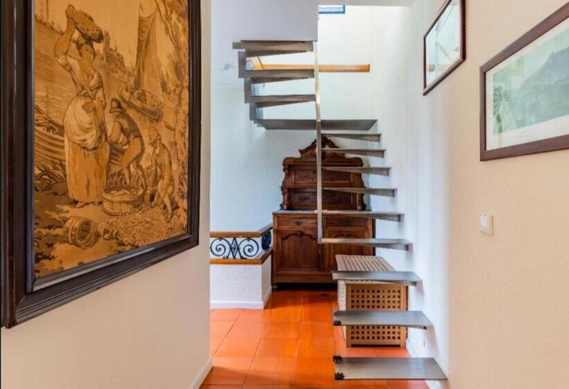 سوئیت با تخت بزرگ, Suites Foz O Porto