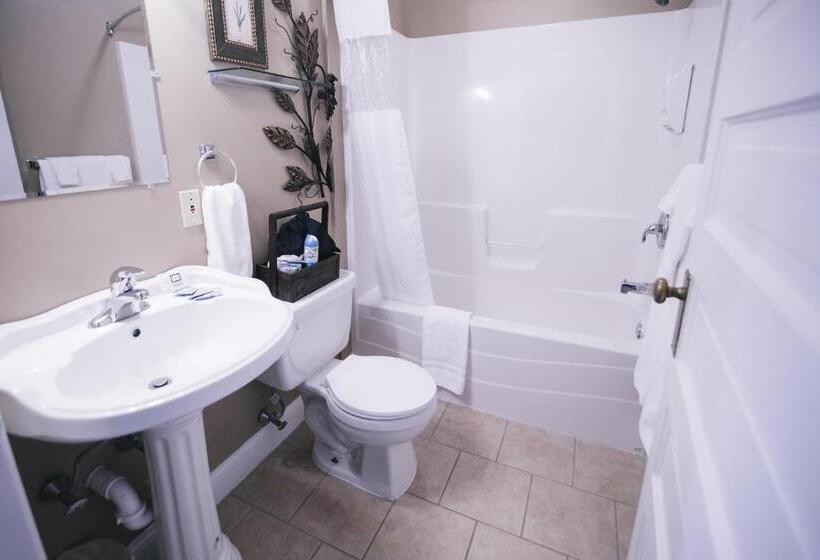 جناح, The Continental