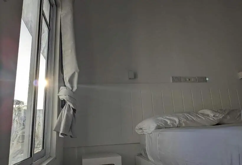 اتاق لوکس, Avi Guesthouse