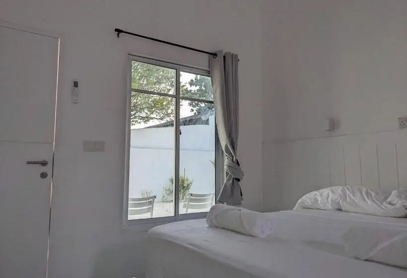 اتاق لوکس, Avi Guesthouse