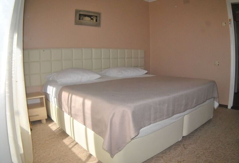 غرفة قياسية, Geyzer