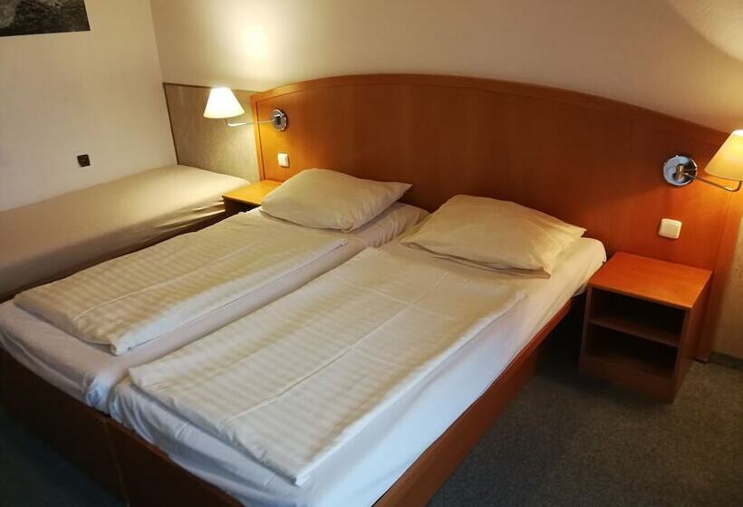 标准三人间, Penzion Diana