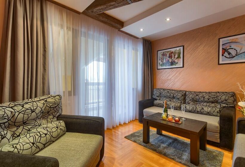 آپارتمان راحتی 1 خوابه, Vila Barović And Spa