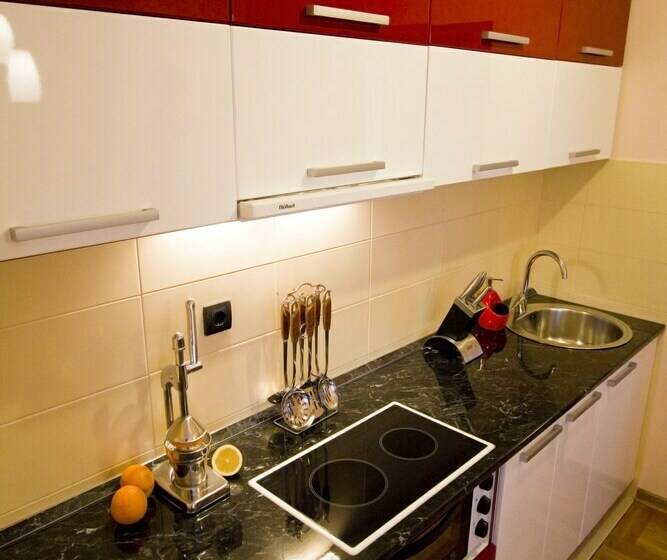 آپارتمان لوکس 2 خوابه, Vila Barović And Spa