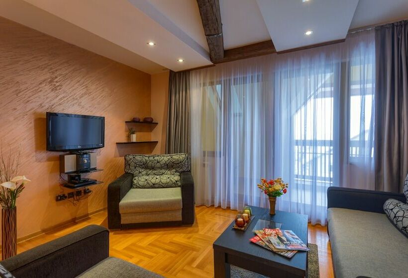 آپارتمان راحتی 1 خوابه, Vila Barović And Spa