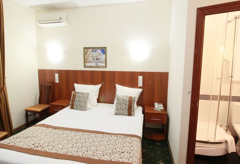 Номер Стандарт, Otel Nechaev