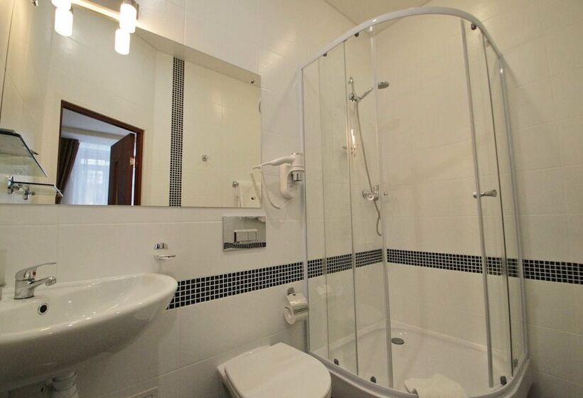 Номер Стандарт, Otel Nechaev