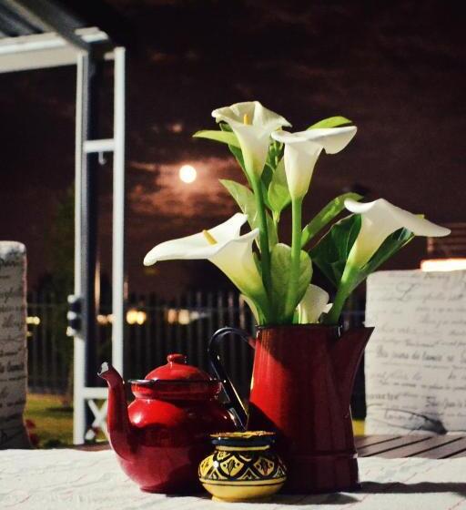 Номер Deluxe, Bokmakierie Gastehuis Emalahleni Pty Ltd