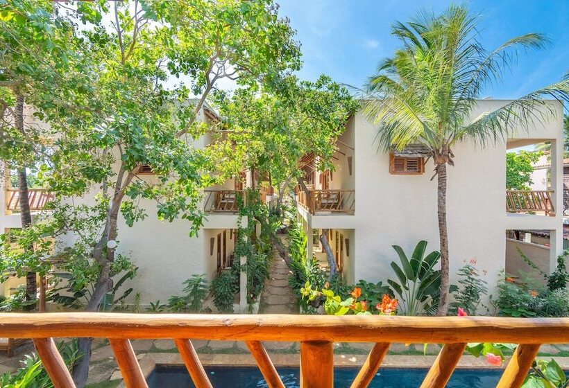 اتاق استاندارد, Casalo