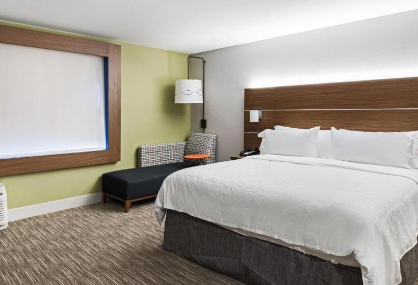 스위트 킹사이즈 침대, Holiday Inn Express & Suites Racine, An Ihg