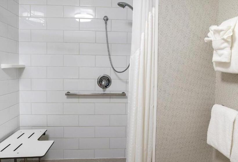 身障者適用キングサイズベッドルーム, Holiday Inn Express & Suites Racine, An Ihg