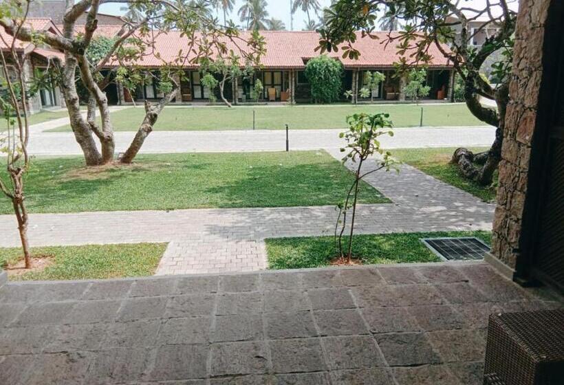 Люкс, Regenta Arie Lagoon Negombo