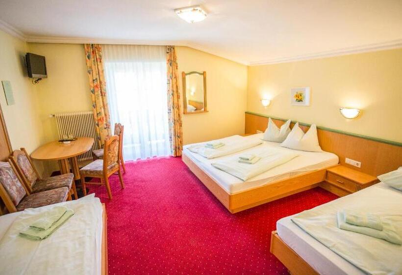 Camera Standard, Schnitzl Eck