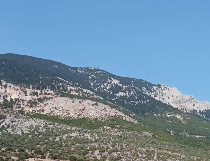 סטודיו עם נוף להרים, Madison Studios