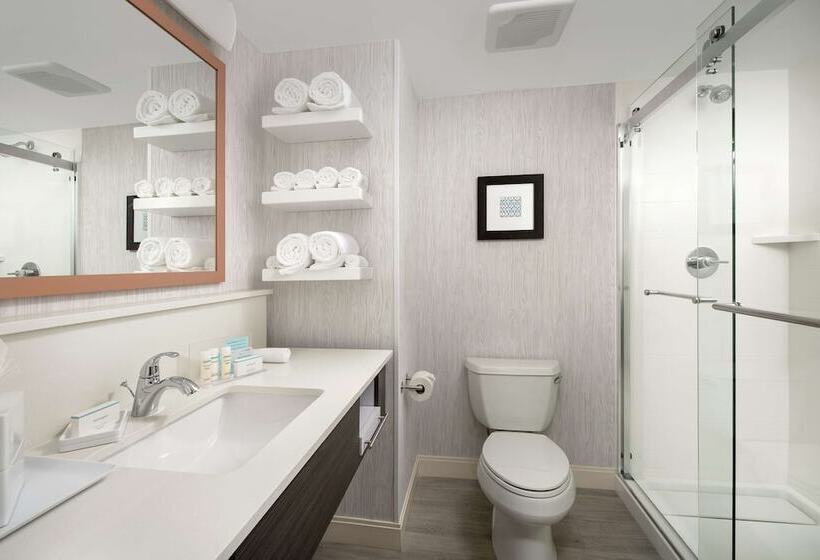 غرفة قياسية سرير كينج, Hampton Inn Marathon   Florida Keys