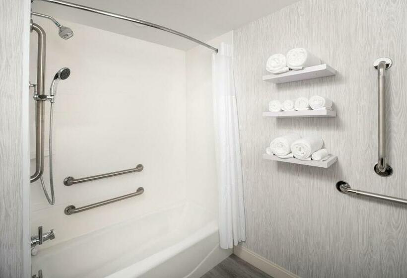 장애인을 위한 킹사이즈 침대 스탠다드 룸, Hampton Inn Marathon   Florida Keys
