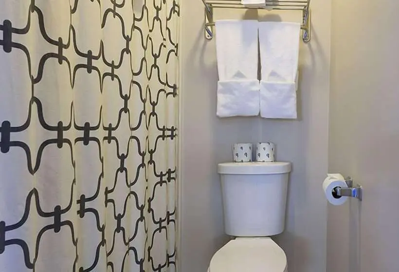 スタンダードルーム, Rehoboth Guest House   Adults Only