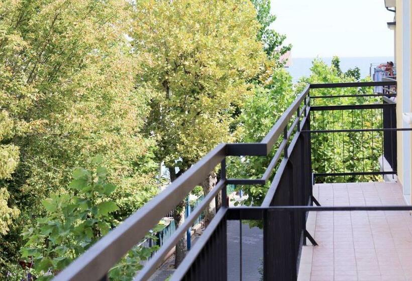 Индивидуальный Номер Классика, Buda