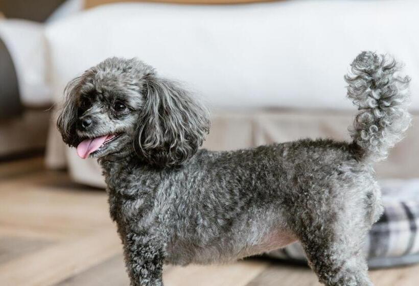 غرفة قياسية, Kamenoi Hotel Chitamihama