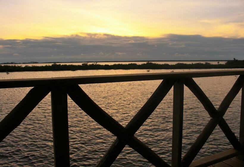 스탠다드 룸 킹사이즈 침대, Lina Point Belize Overwater Resort