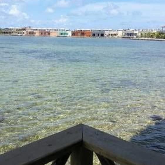 اتاق استاندارد با تخت بزرگ, Lina Point Belize Overwater Resort