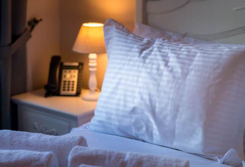 غرفة قياسية فردية ذات إطلالة, Palladian Home