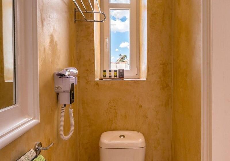 غرفة قياسية فردية ذات إطلالة, Palladian Home