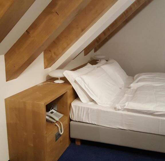 شقة سوبريور غرفة واحدة, Residence Langes