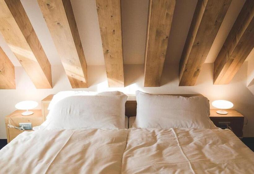 شقة سوبريور غرفة واحدة, Residence Langes